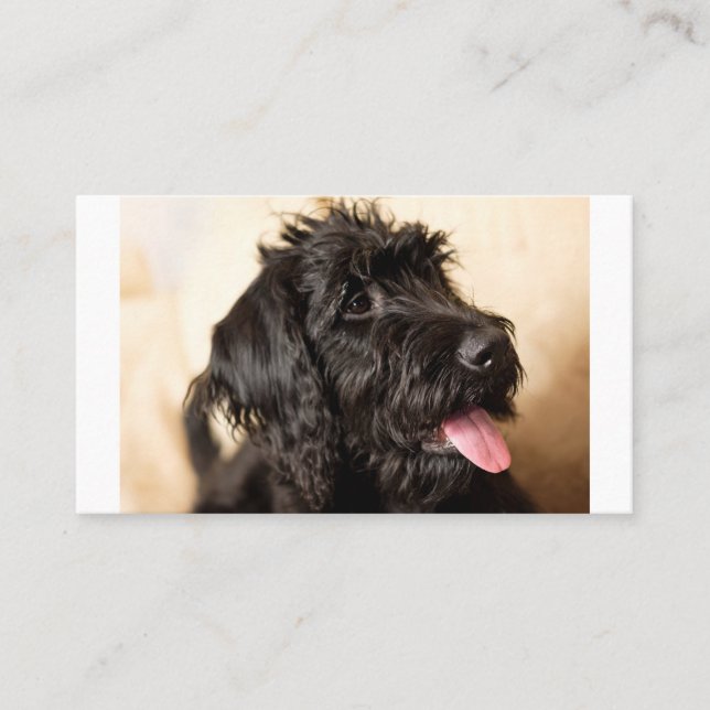 Labradoodle Standard, 3.5" x 2.0" Flat Place Card (Front)