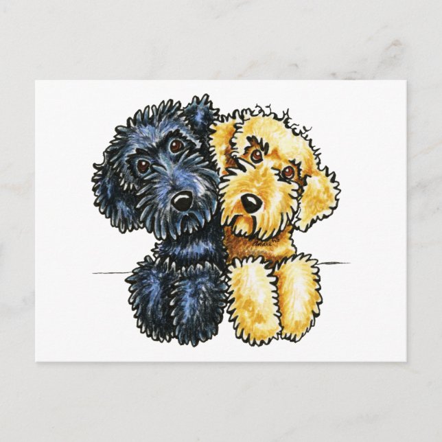 Labradoodles Black Yellow Lined Up Postcard (Front)