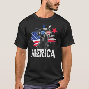 Labrador 4th Of July Merica Sunglasses Men Usa Ame T-Shirt
