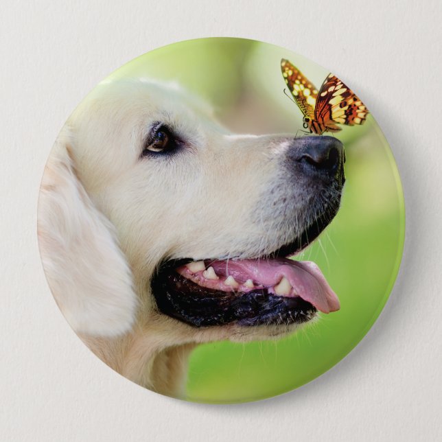 Labrador And Butterfly Throw Pillow 10 Cm Round Badge (Front)