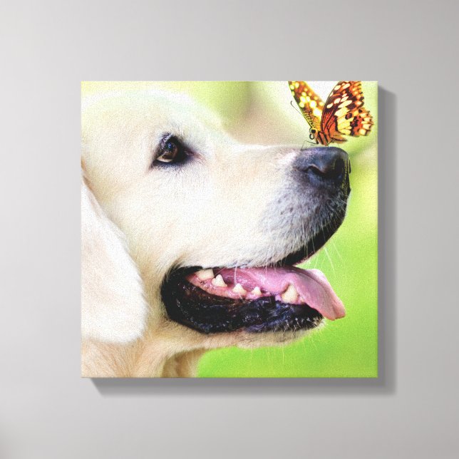 Labrador And Butterfly Throw Pillow Canvas Print (Front)