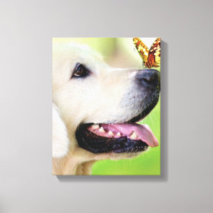 Labrador And Butterfly Throw Pillow Canvas Print