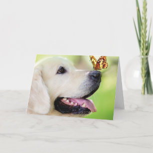 Labrador And Butterfly Throw Pillow Invitation