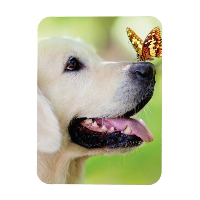 Labrador And Butterfly Throw Pillow Magnet (Vertical)