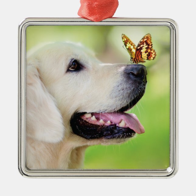 Labrador And Butterfly Throw Pillow Metal Tree Decoration (Front)