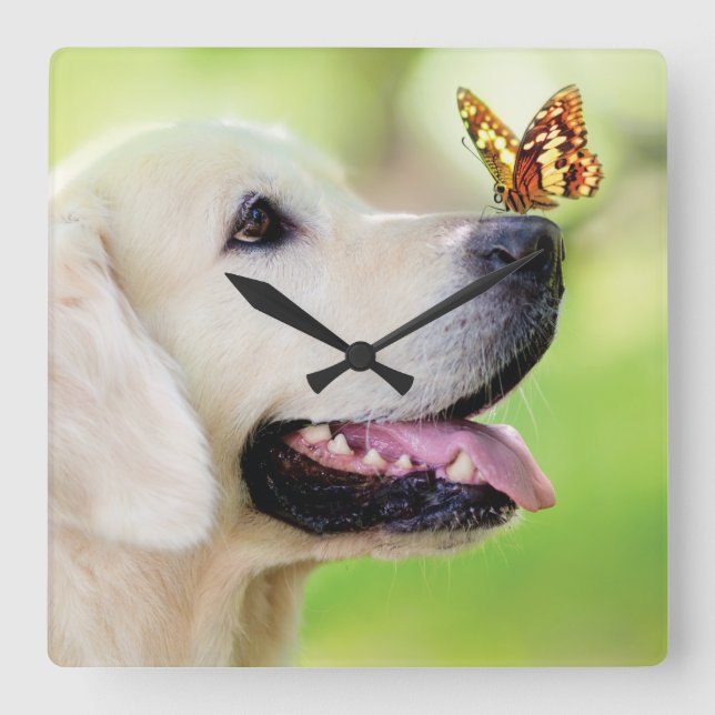 Labrador And Butterfly Throw Pillow Square Wall Clock (Front)