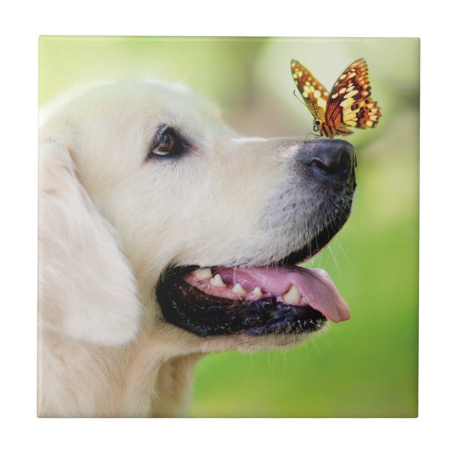 Labrador And Butterfly Throw Pillow Tile (Front)