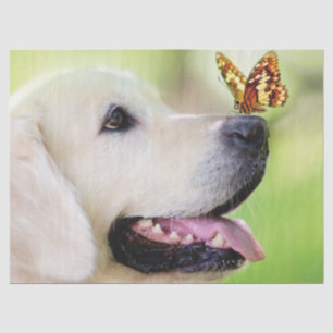 Labrador And Butterfly Throw Pillow Tissue Paper