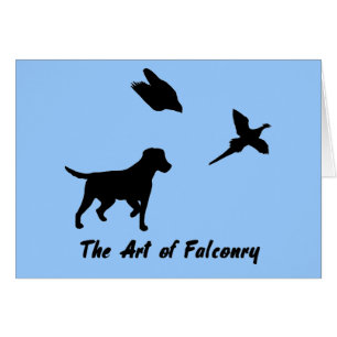 Labrador and Falconry