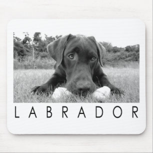Labrador B&W Mouse Pad