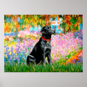 Labrador (Black) - Garden Poster