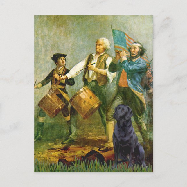 Labrador (black) - Spirit of '76 Postcard (Front)