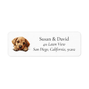 Labrador Bulldog Dog Breed Pet Lovers