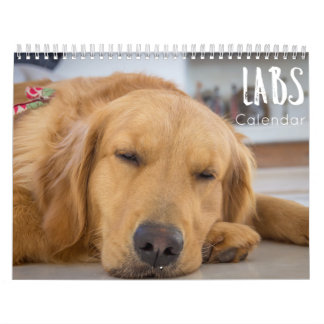 labrador calendar 2023