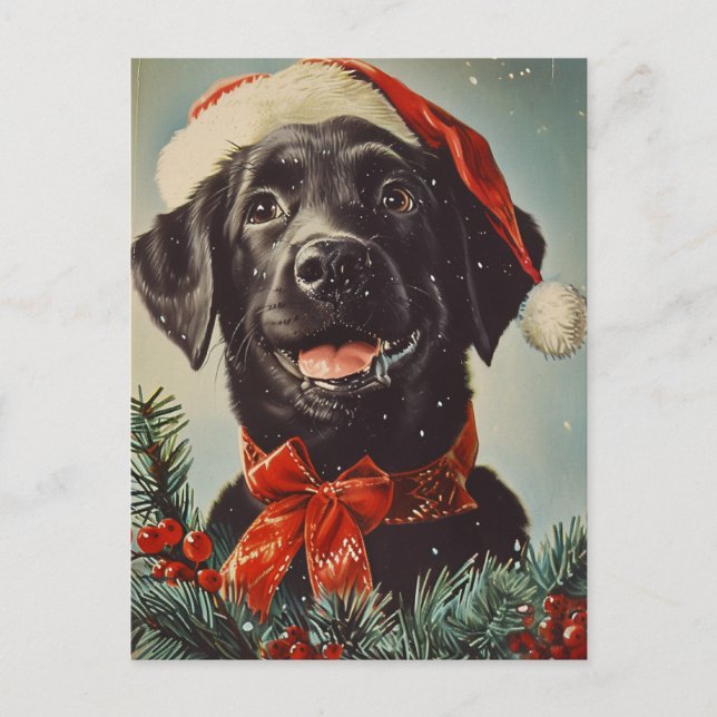 Labrador Christmas  Postcard (Front)