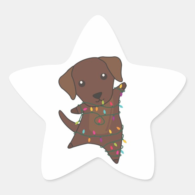 Labrador Christmas Snow Winter Animals Dogs Star S Sticker (Front)