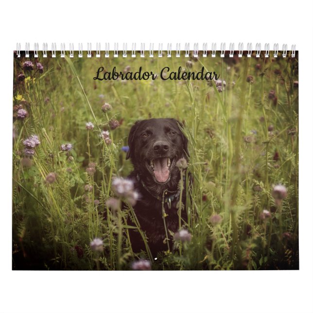 Labrador Custom Year Calendar (Cover)