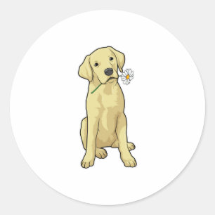 Labrador Daisy Classic Round Sticker