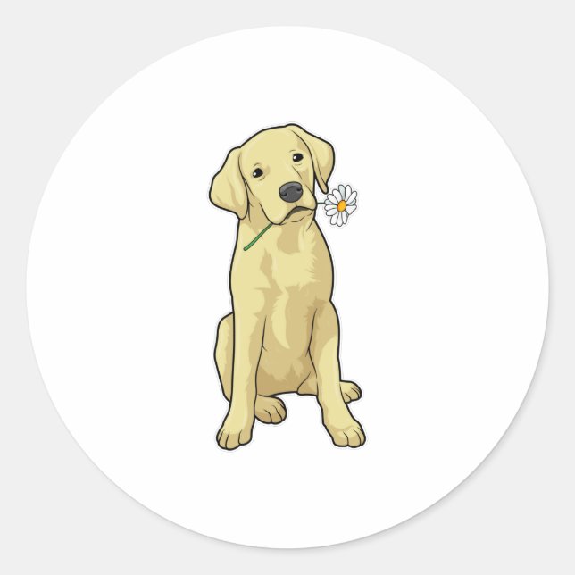 Labrador Daisy Classic Round Sticker (Front)