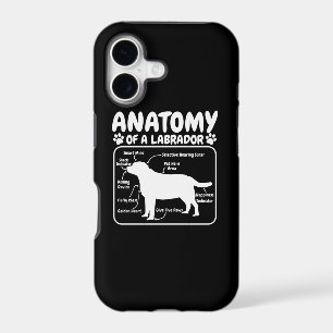 Labrador Dog Anatomy