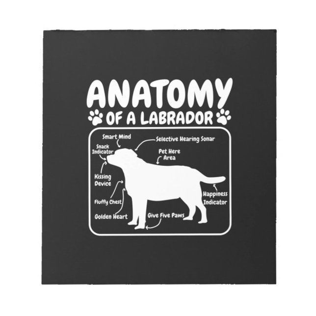 Labrador Dog Anatomy Notepad (Front)