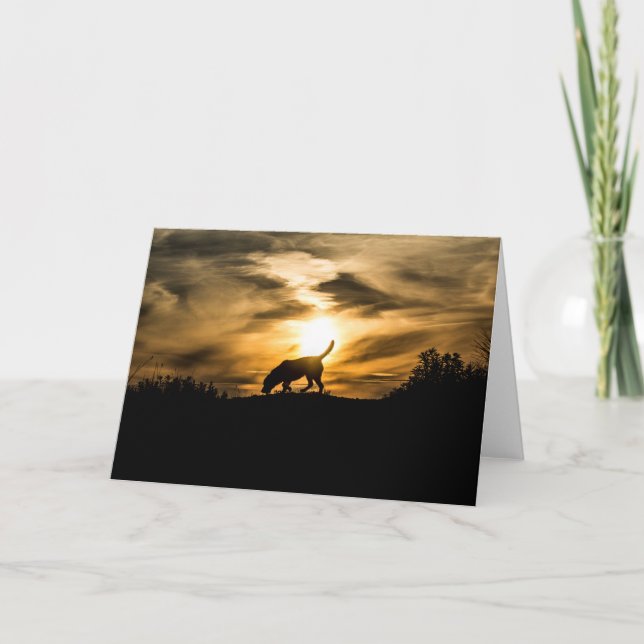 Labrador Dog at Sunset Greetings Card (Front)