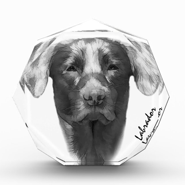 Labrador Dog cool Photo Block (Front)