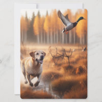 Labrador/dog in the autumn duck hunt