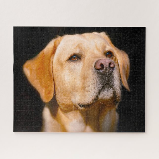 Labrador Dog. Jigsaw Puzzle (Horizontal)