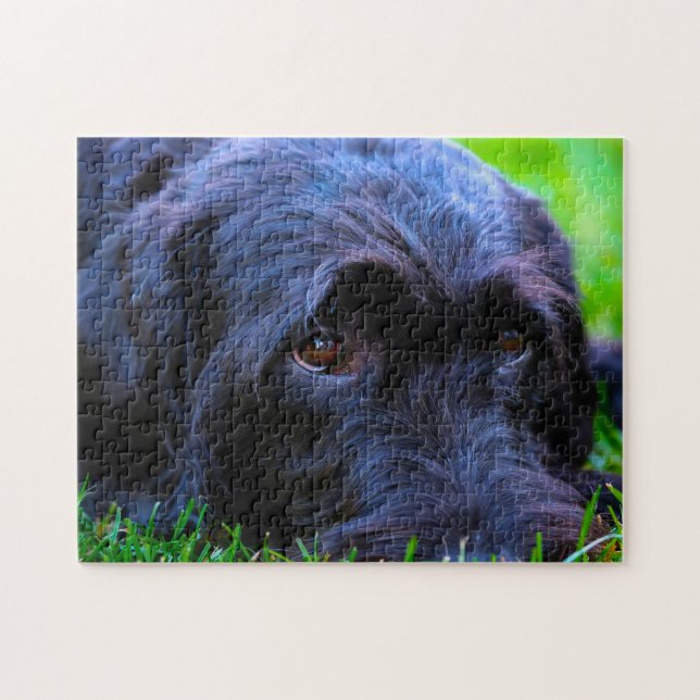 Labrador Dog. Jigsaw Puzzle (Horizontal)