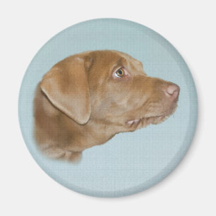 Labrador Dog Magnet