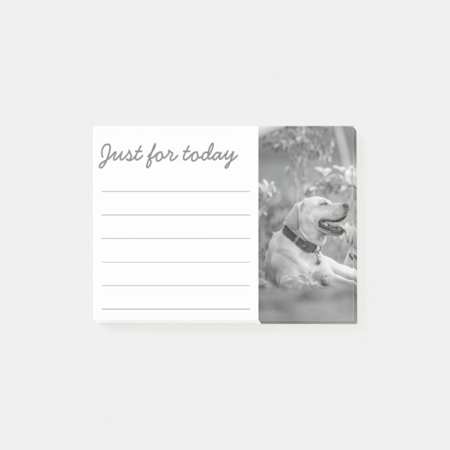 LABRADOR DOG RELAXING NOTES (Front)