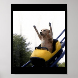Labrador Dog Roller Coaster Funny Meme Poster