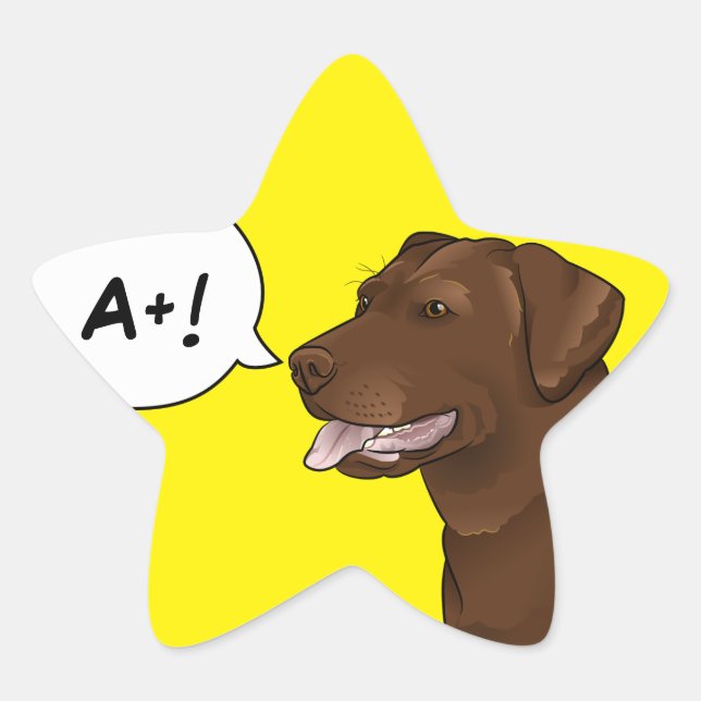 Labrador Dog Teacher Good Grade Reward Star Sticker (Front)