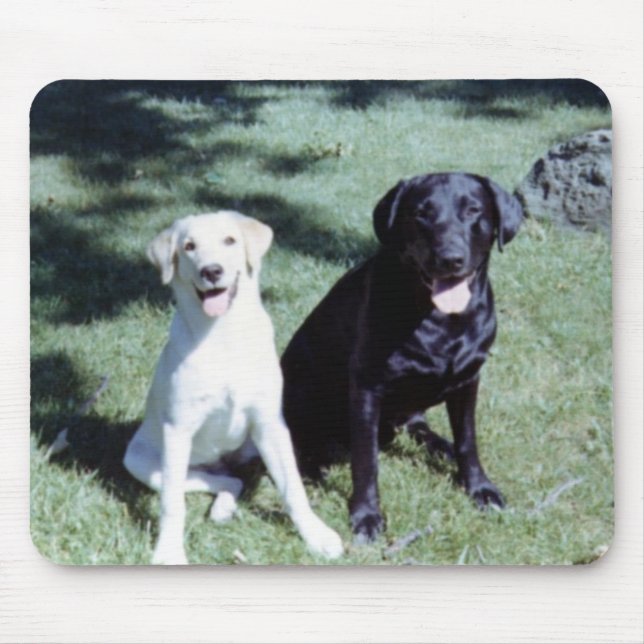Labrador Dogs Mouse Pad (Front)