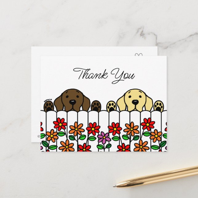 Labrador Duo Watching You Thank You Postcard (Front/Back In Situ)