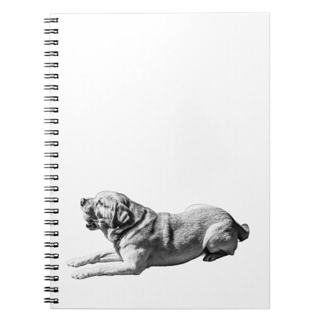 Labrador Ease – Notes in Black & White Notebook (Front)