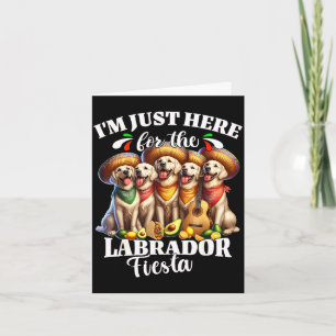 Labrador fiesta here for cinco de mayo labrador card