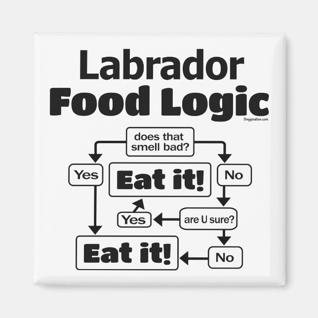 Labrador Food Logic Magnet (Front)