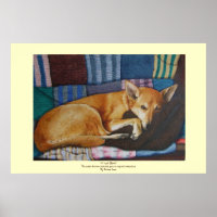 labrador german shepherd mixed breed dog