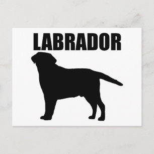 Labrador Gifts! Postcard