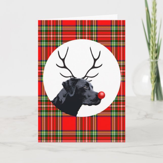 Labrador Holiday Greeting Card (Front)