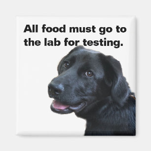 Labrador Love Magnet