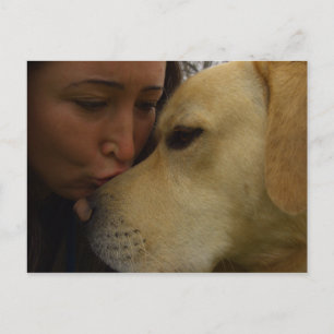 Labrador Love Postcard