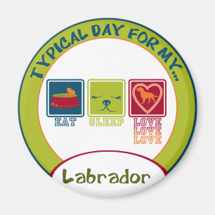 Labrador Magnet