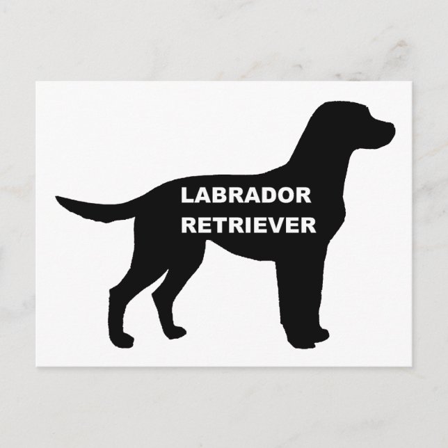 labrador name silhouette postcard (Front)