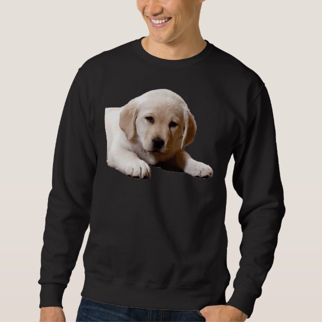 Labrador Nap Time Sweatshirt (Front)