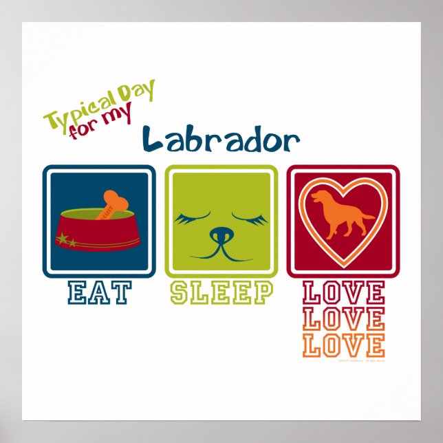 Labrador Poster (Front)