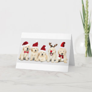 Labrador Puppies - Christmas Card