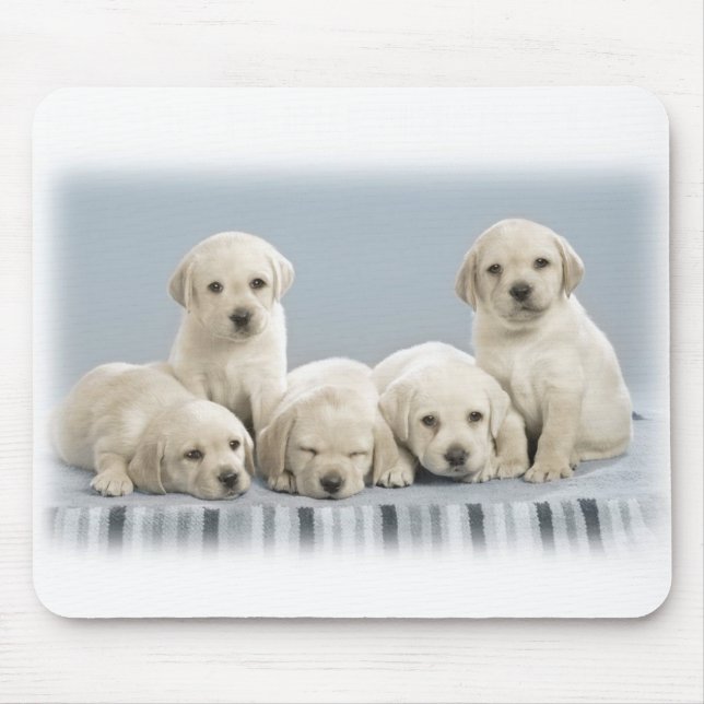Labrador puppies mouse pad (Front)